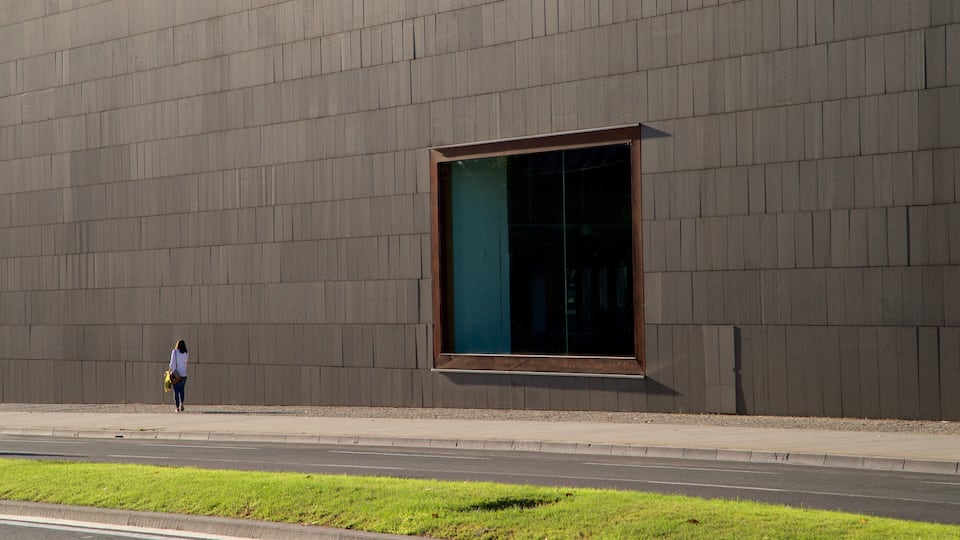 Palacio de Congresos and Auditorium of Navarra which includes street scenes as well as an individual femail
