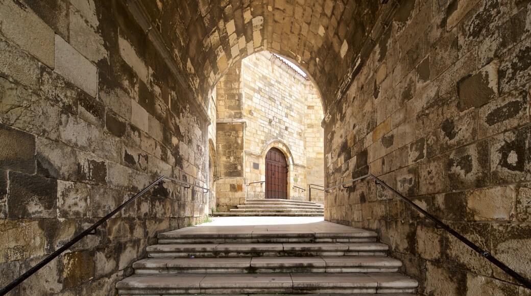 Santander Cathedral featuring interior views