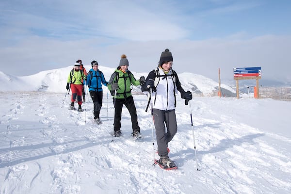 La Molina Ski Resort featuring snow shoeing and snow as well as a small group of people