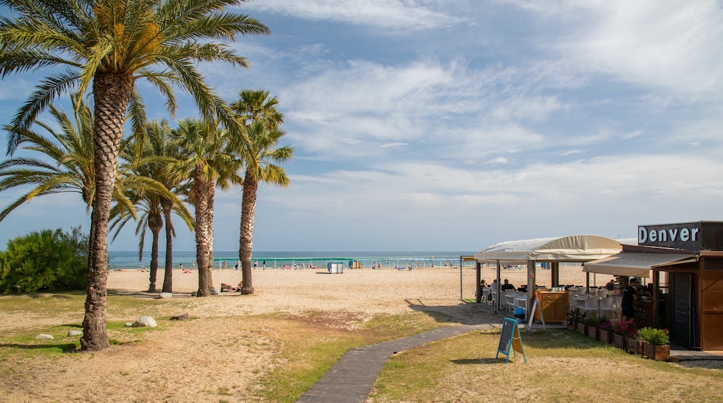 Cambrils Beach showing a sandy beach and general coastal views