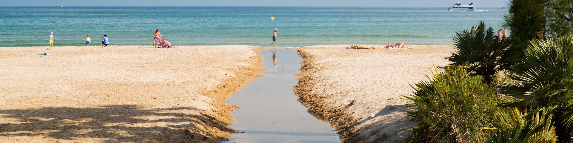 Cambrils Beach which includes general coastal views and a sandy beach