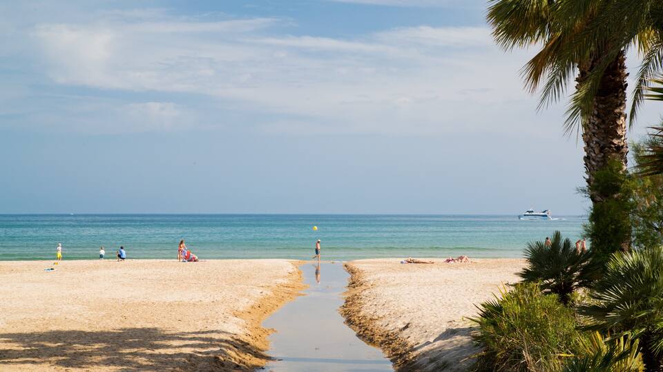 A beach with people sunbathing and playing volleyball, a boat in the distance, and a palm tree on the right.