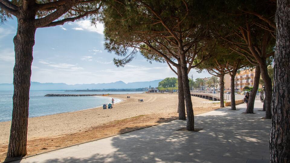 A beach with trees, a clear sky, and mountains in the background.