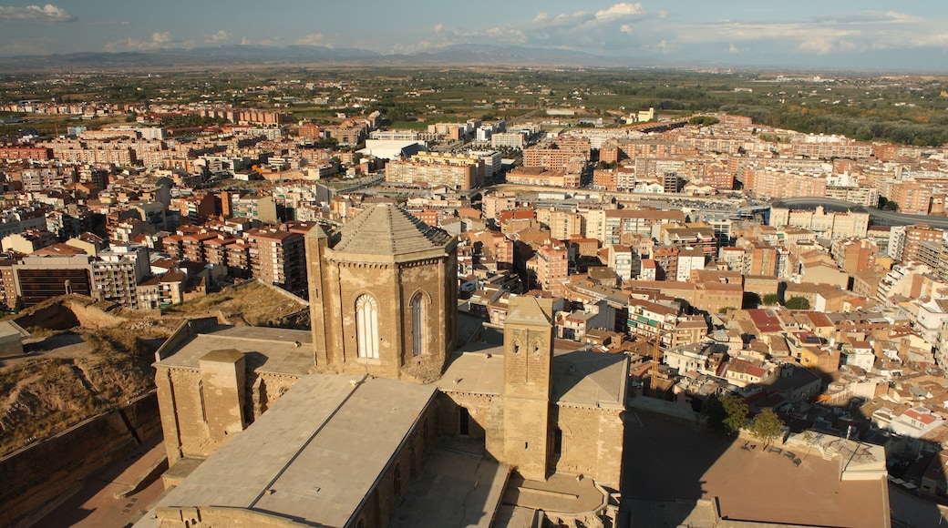 Catedral de Santa MarĂa de la Seu Vella