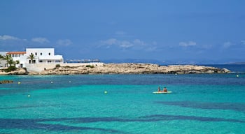Es Pujols Beach which includes general coastal views, tropical scenes and rugged coastline