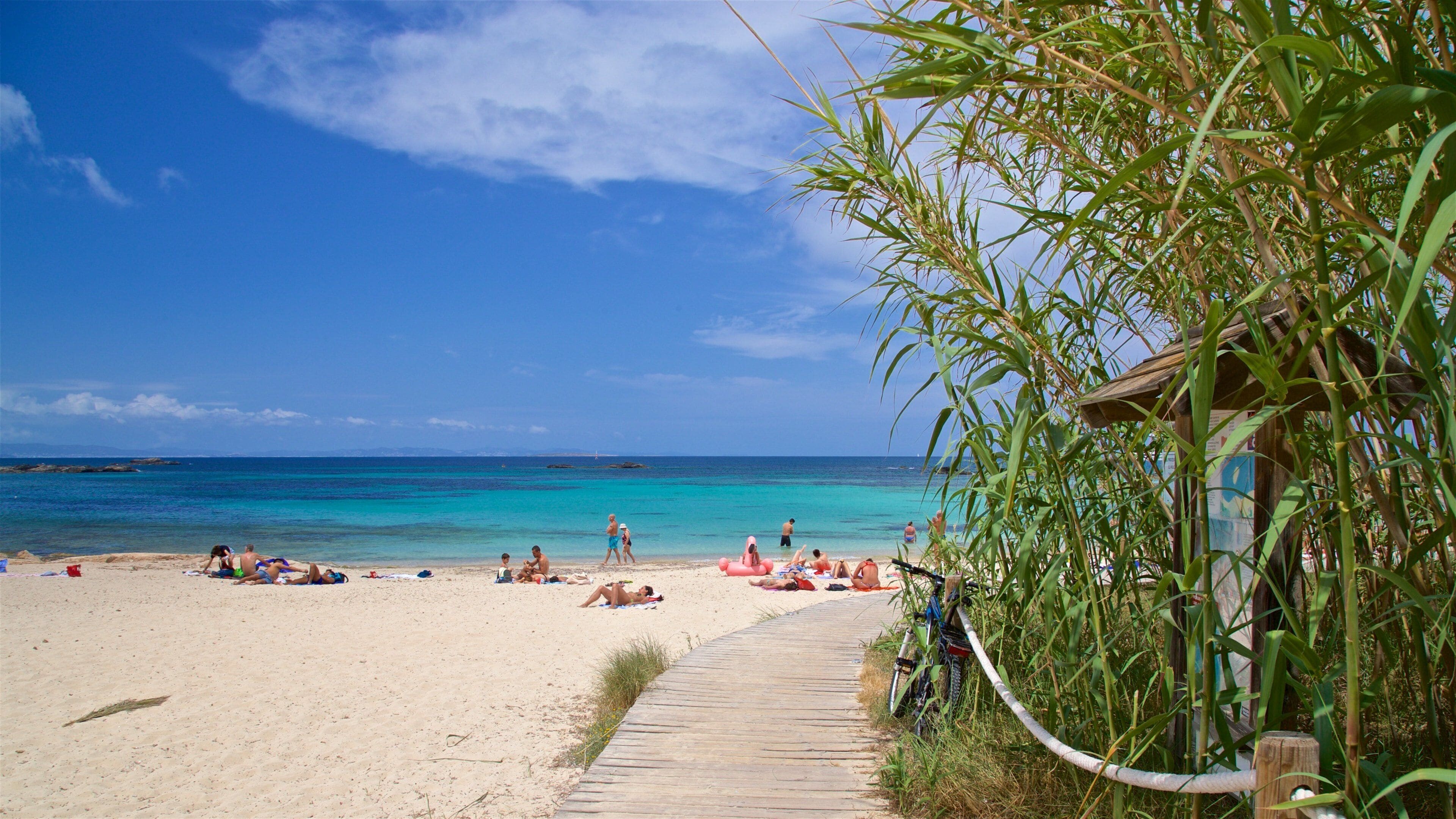 Une plage à l’eau turquoise et limpide, avec une promenade en bois et une végétation luxuriante.
