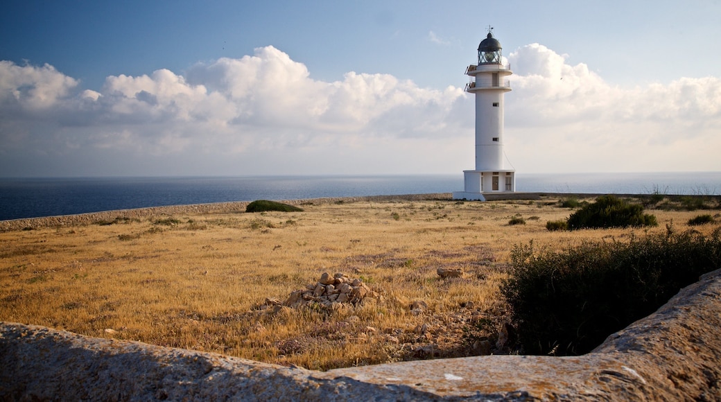 Cap de Barbaria Lighthouse which includes a lighthouse and general coastal views