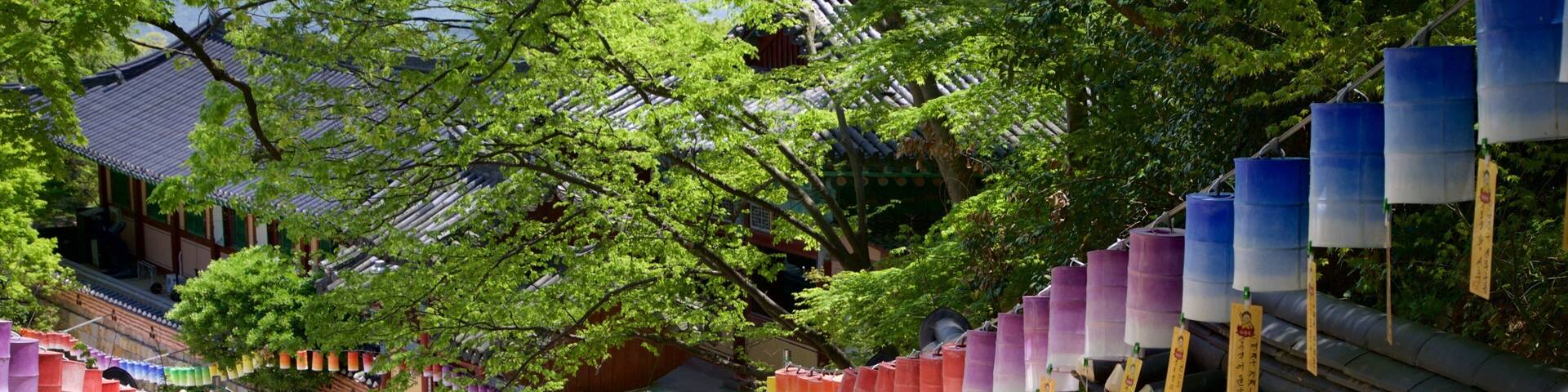 Beautiful pathway lined with colorful lanterns leading to Beomeosa Temple in Busan, South Korea during sunny day
