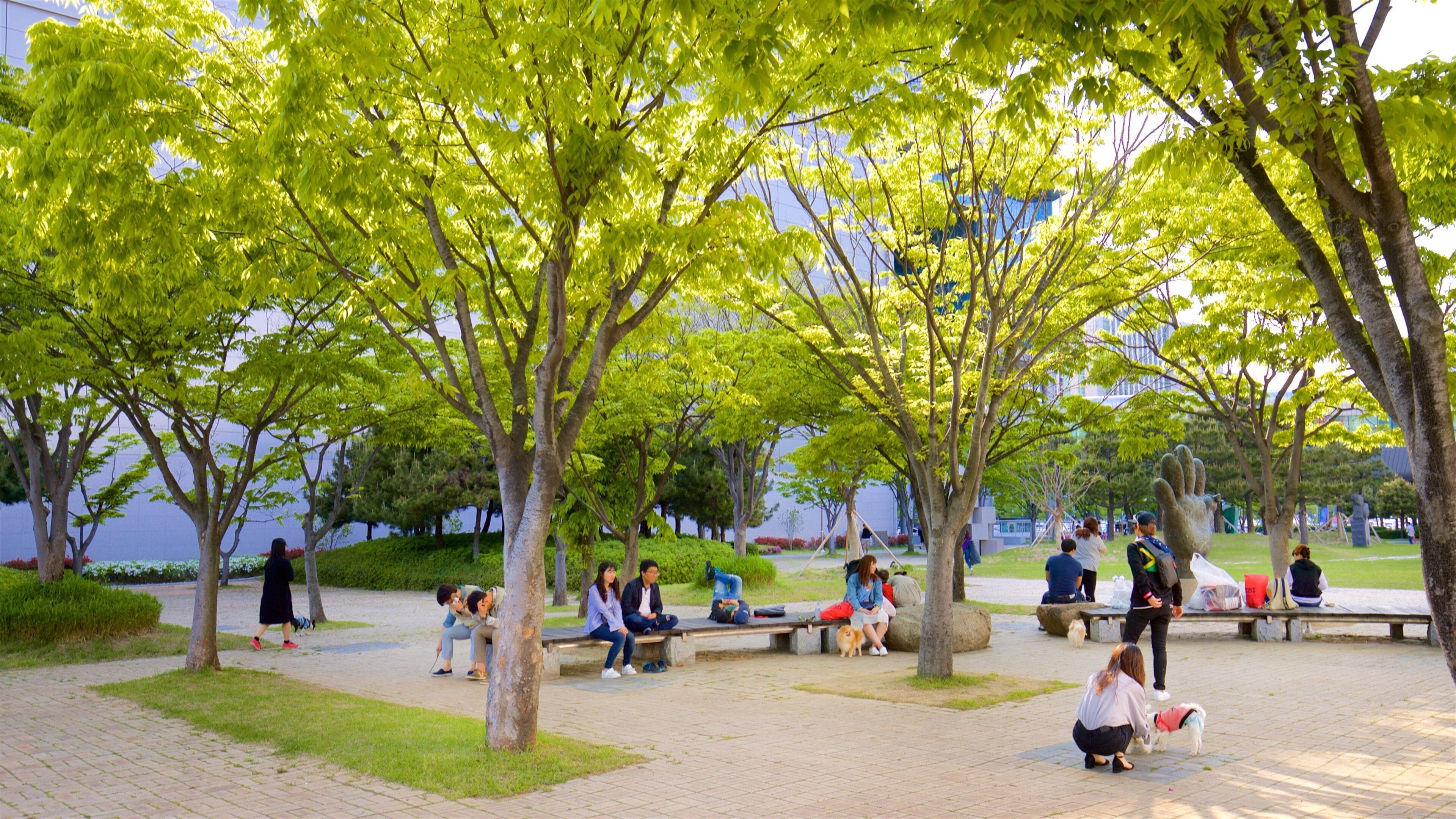 Museu de Arte Moderna de Busan mostrando um parque assim como um pequeno grupo de pessoas