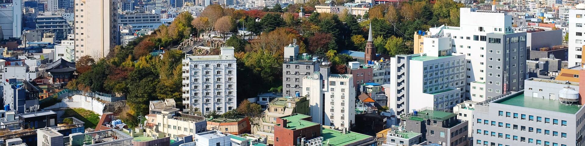Busan city with busan tower on the hill. Park yongdusan.