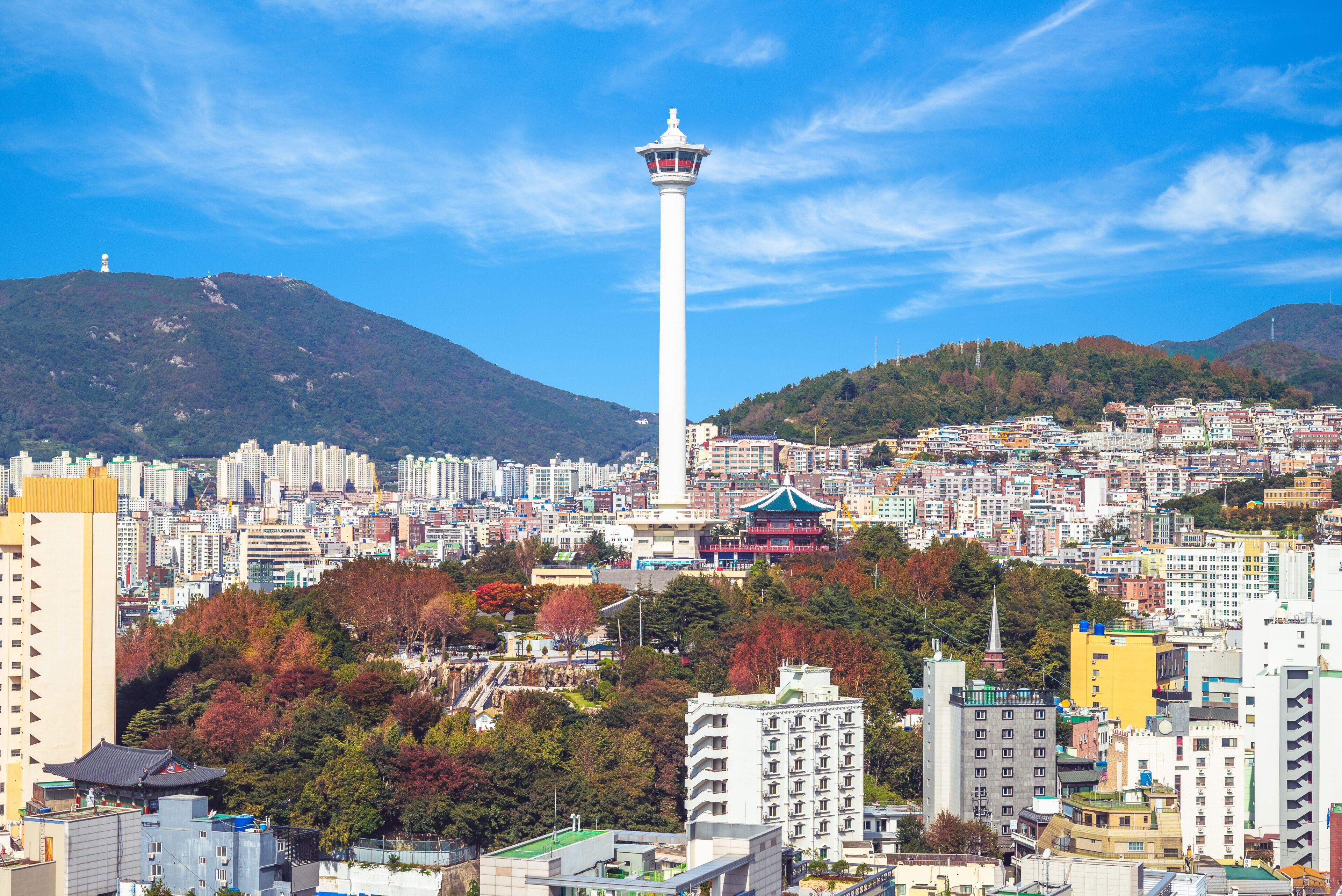 skyline of busan city with busan tower in south korea