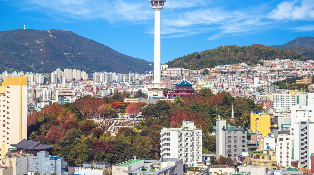 skyline of busan city with busan tower in south korea
