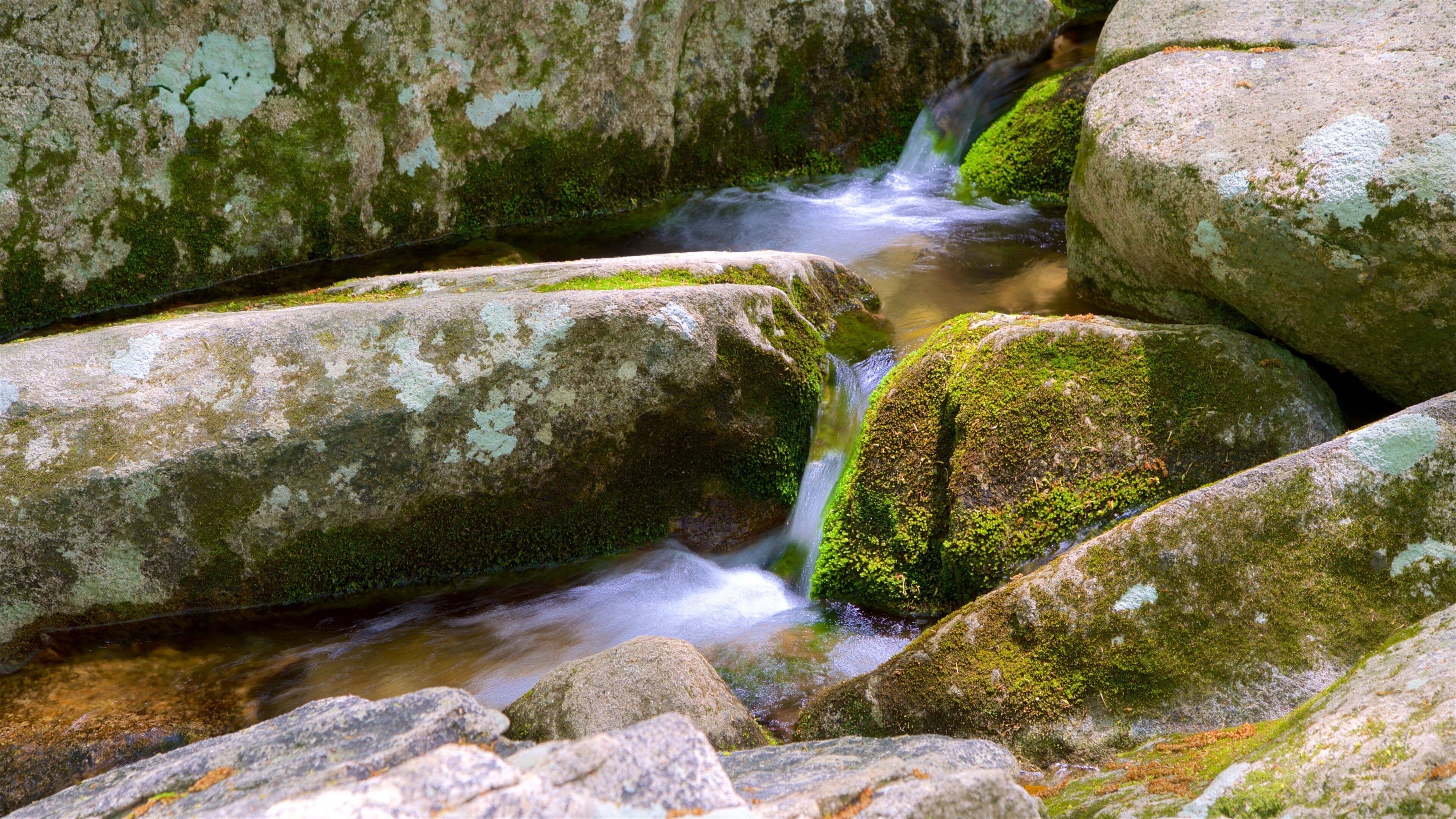 Geumjeongsan som viser elv eller bekk