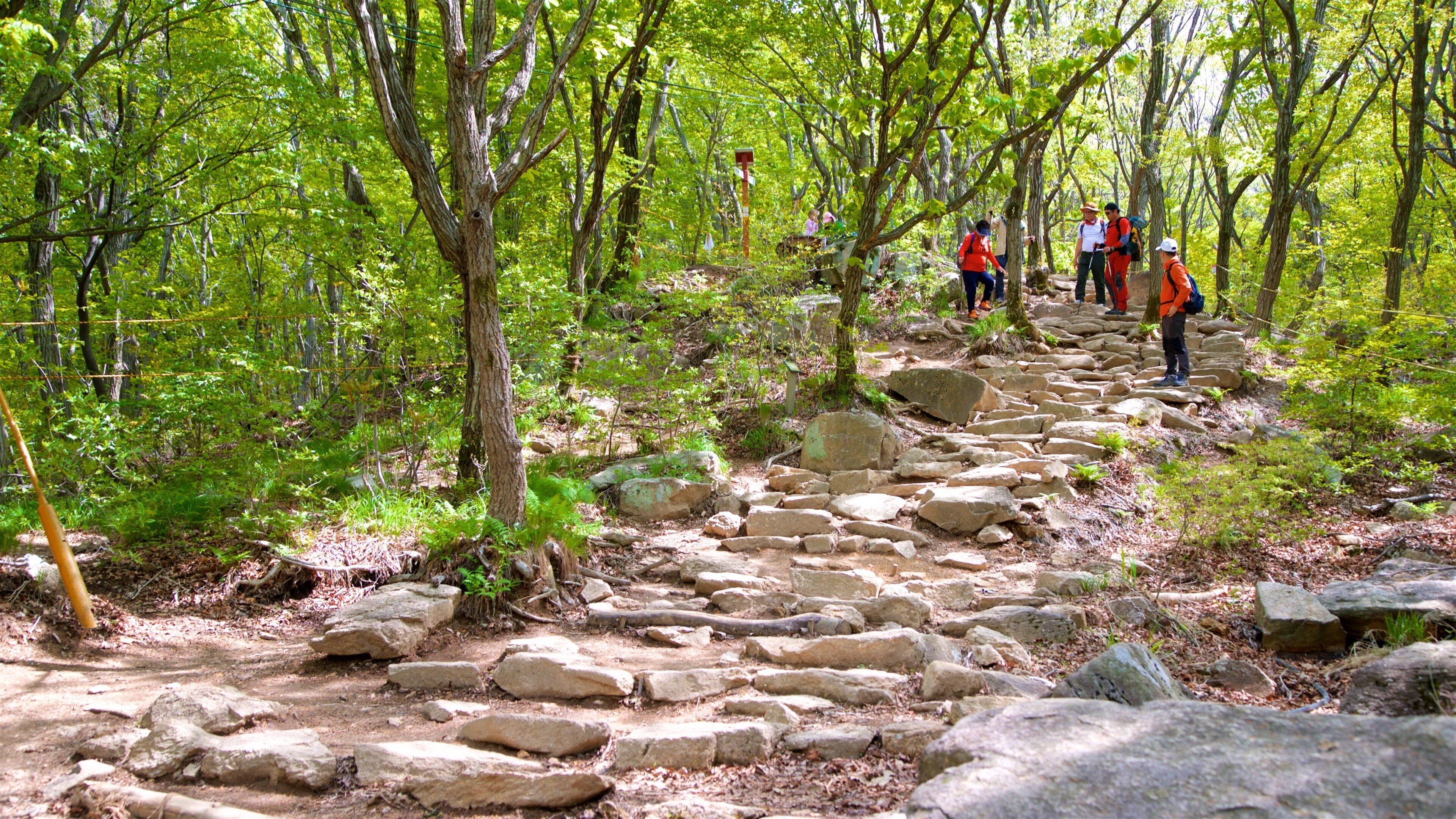 Geumjeongsan fasiliteter samt skog i tillegg til en liten gruppe med mennesker