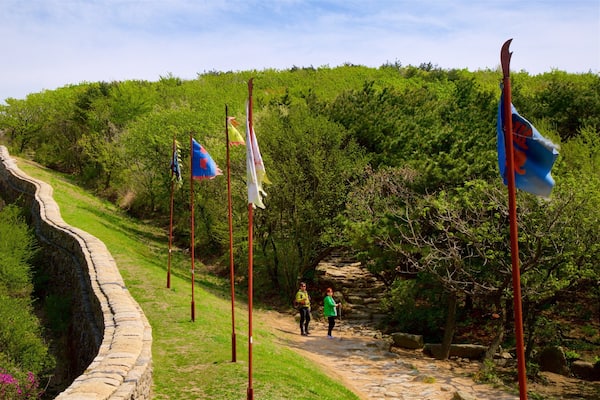 Geumjeongsan showing tranquil scenes and landscape views as well as a couple