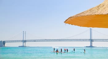 Playa de Gwangalli mostrando vistas de una costa, un puente y piragüismo