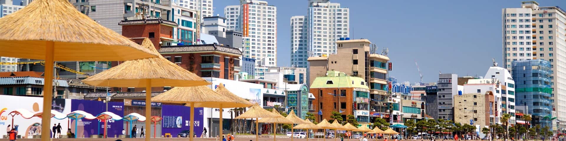 Gwangalli Beach showing general coastal views, a coastal town and a beach