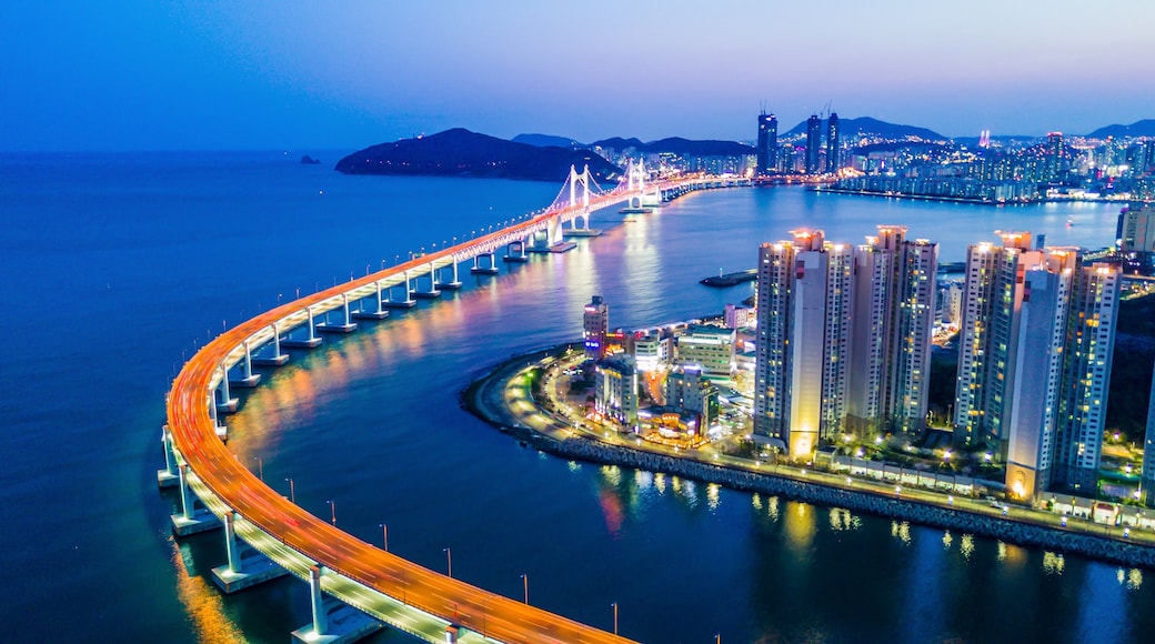Busan Gwangandaegyo bridge or Gwangan bridge and Haeundae aerial view at night, Busan City, South Korea.