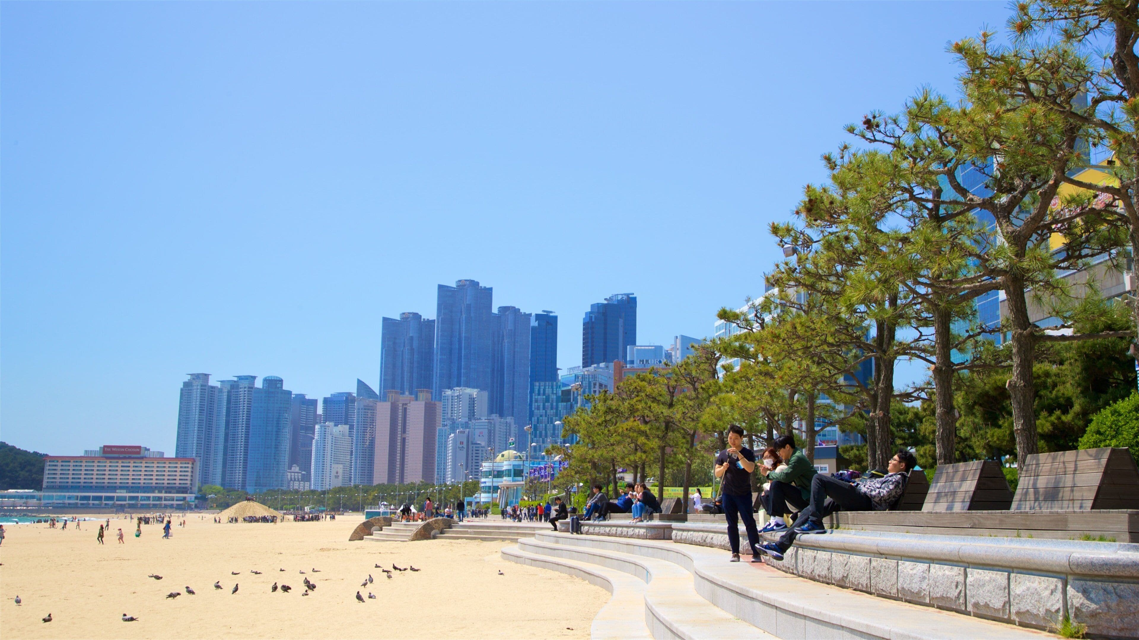 Haeundae Beach featuring a city, a coastal town and a sandy beach
