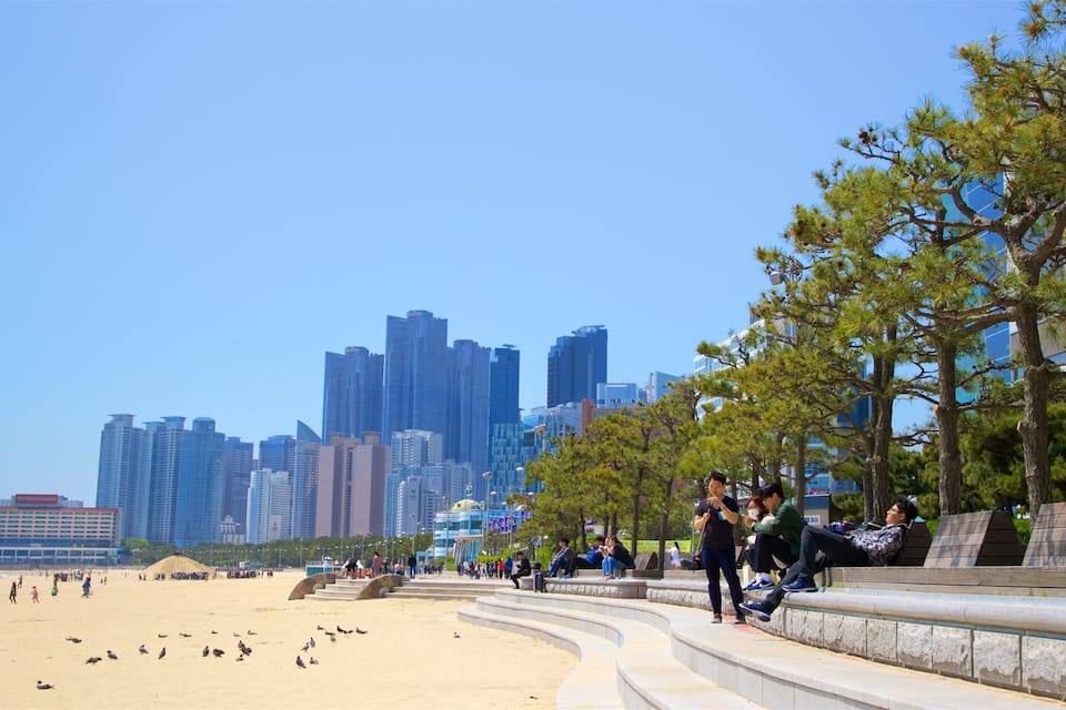 Una platja amb gent relaxant-se i un perfil urbà al fons.