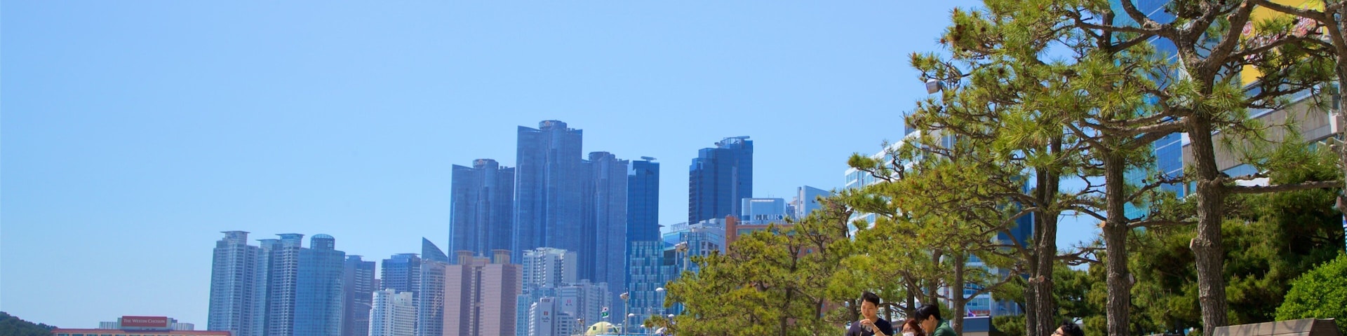 Praia de Haeundae caracterizando uma cidade, uma praia e uma cidade litorânea