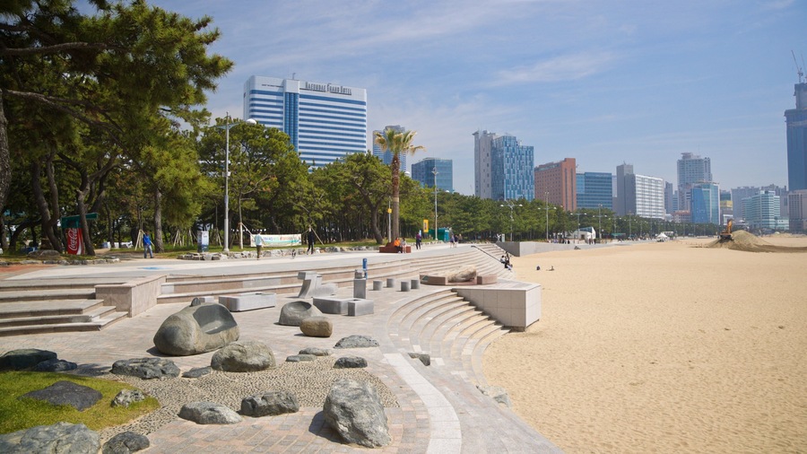 A beach with steps leading down to the shore, palm trees, and modern buildings in the background.