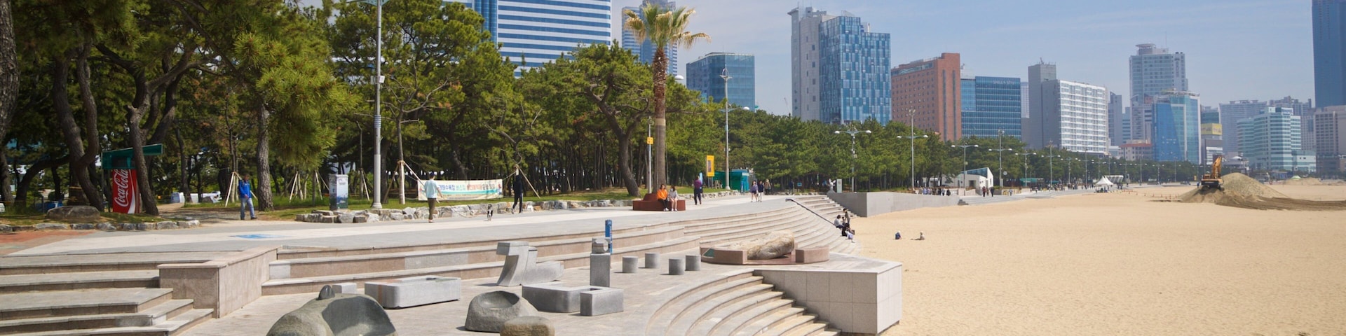 Una playa con escalones que bajan hacia la orilla, palmeras y edificios modernos al fondo.