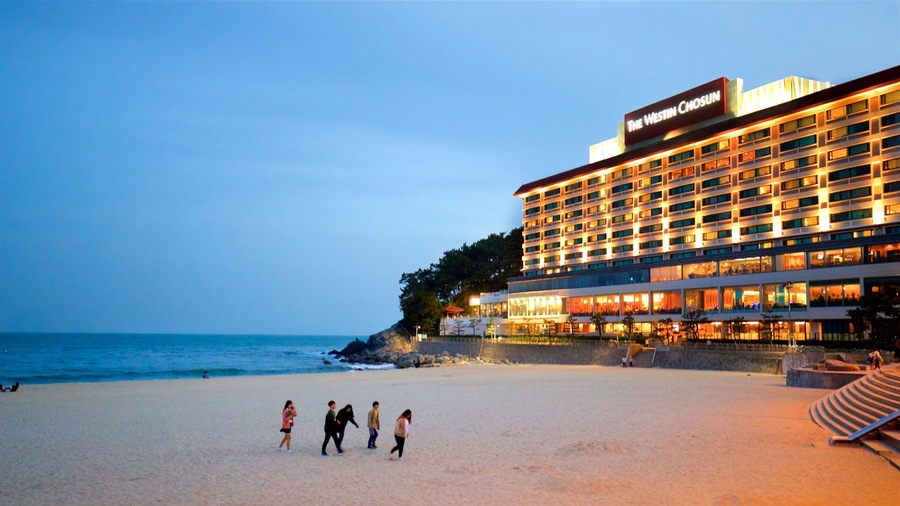 Haeundae Beach which includes a beach, night scenes and general coastal views