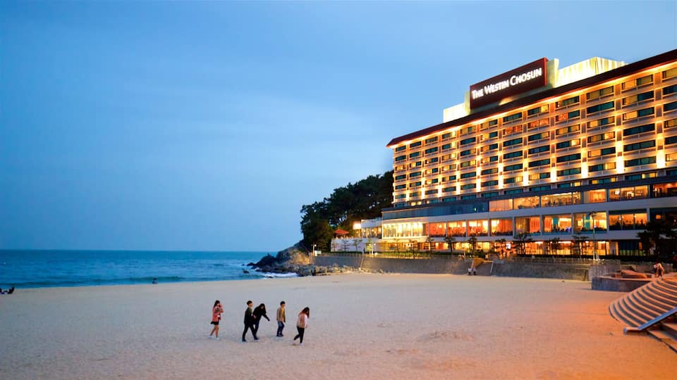 Haeundae Beach showing night scenes, general coastal views and a sandy beach