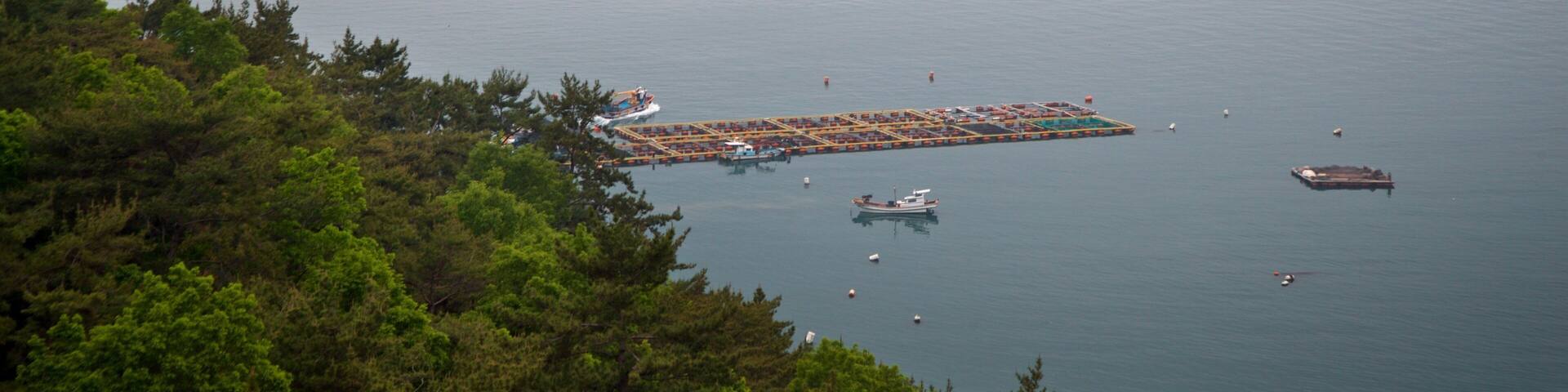 Hallyeo-haesang National Park which includes mist or fog, island views and general coastal views