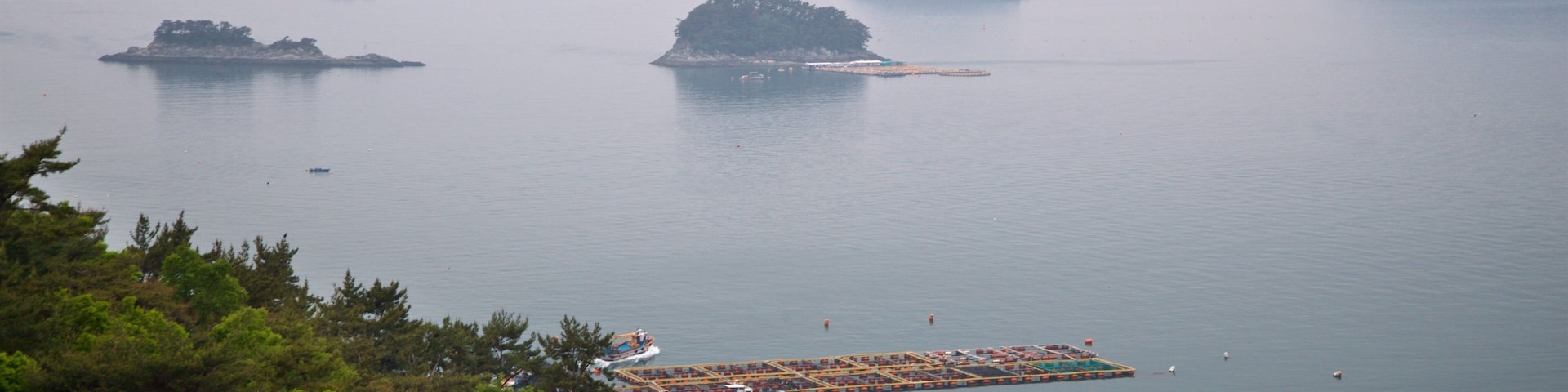 Hallyeo-haesang National Park which includes mist or fog, island views and general coastal views
