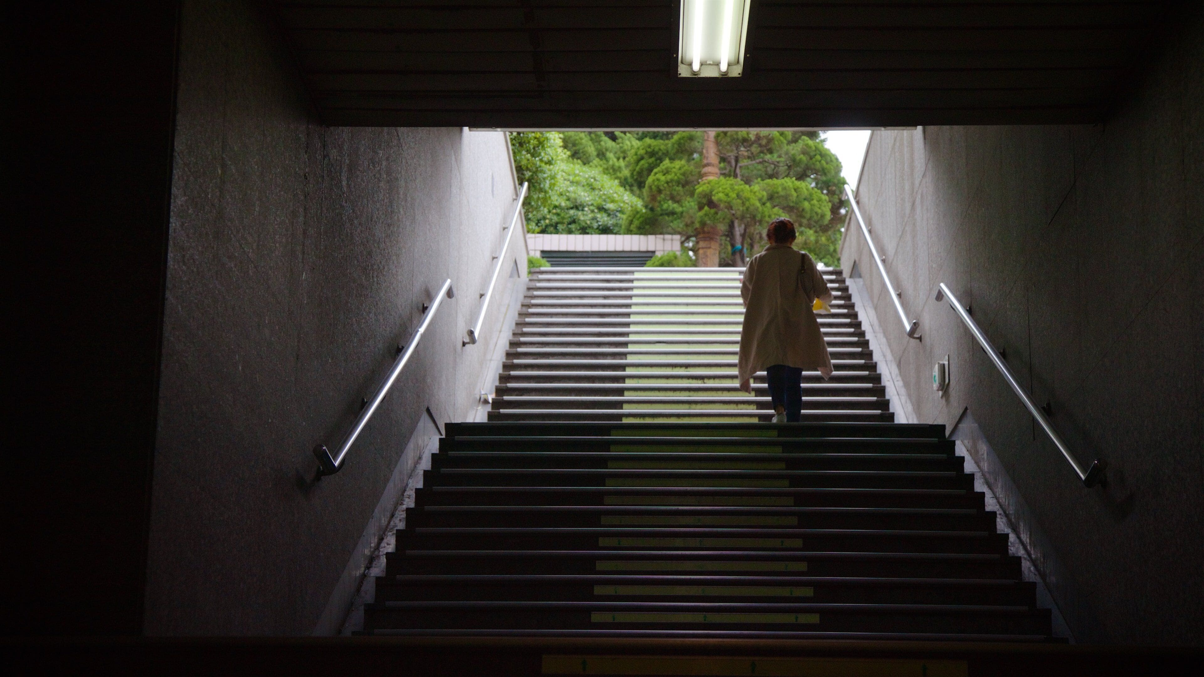 Lotte Department Store featuring interior views and street scenes as well as an individual femail