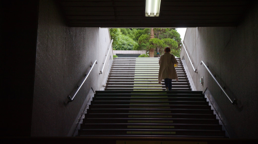 Lotte Department Store featuring interior views and street scenes as well as an individual femail