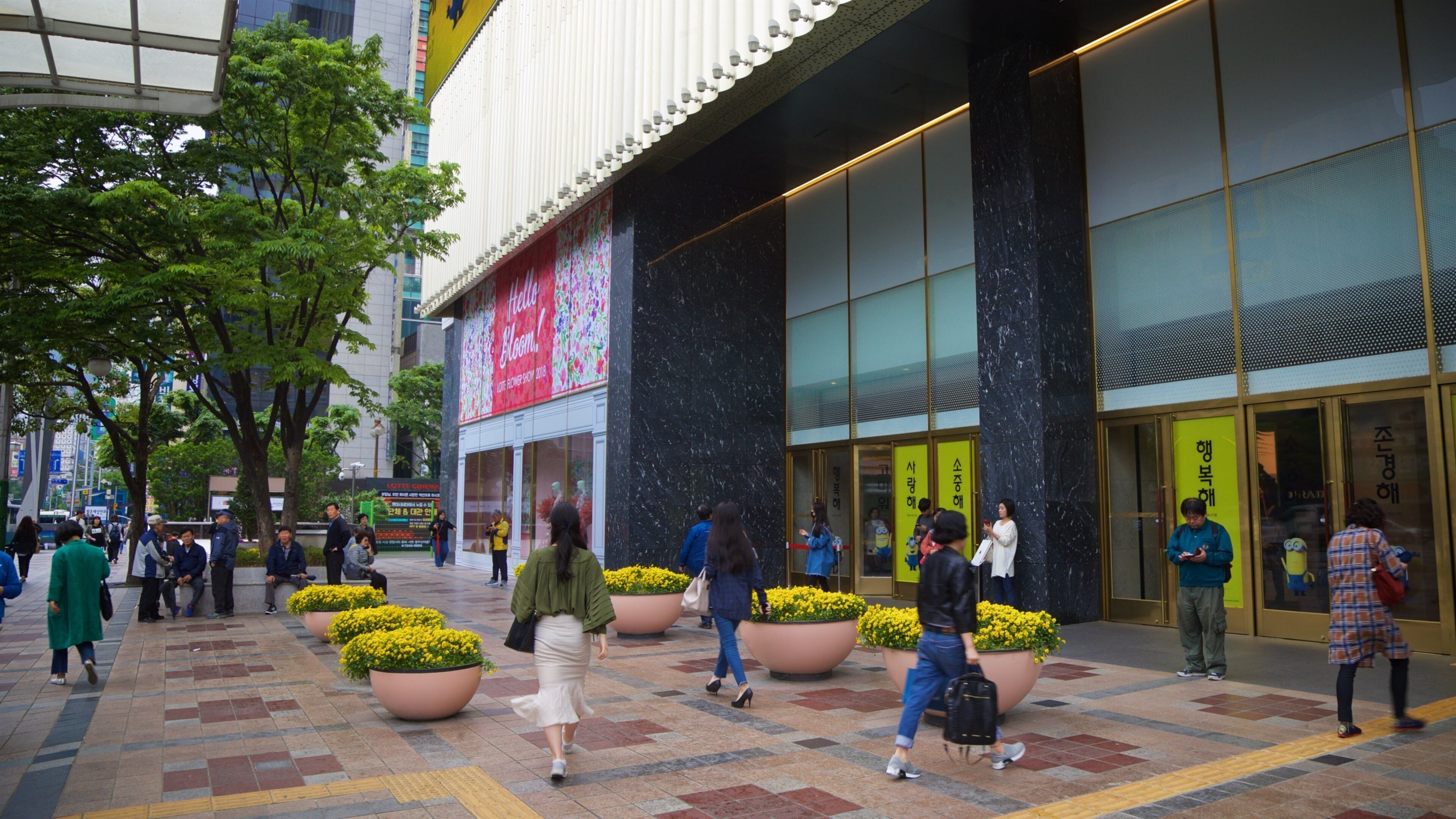 Lotte Department Store Busan Main Branch which includes street scenes and flowers as well as a small group of people