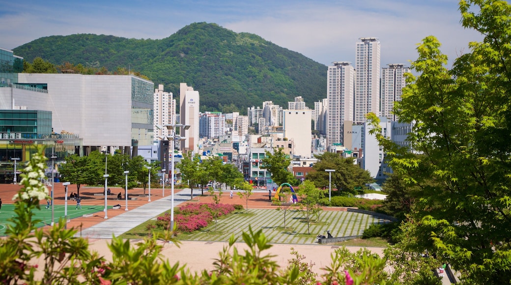 Pusan National University featuring a city