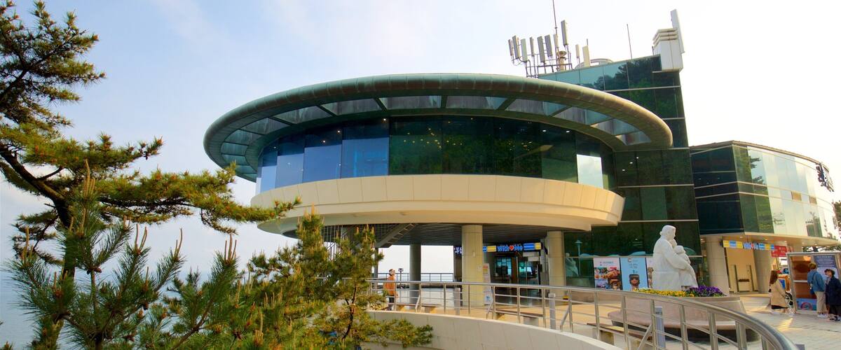 태종대공원 을 보여주는 전경