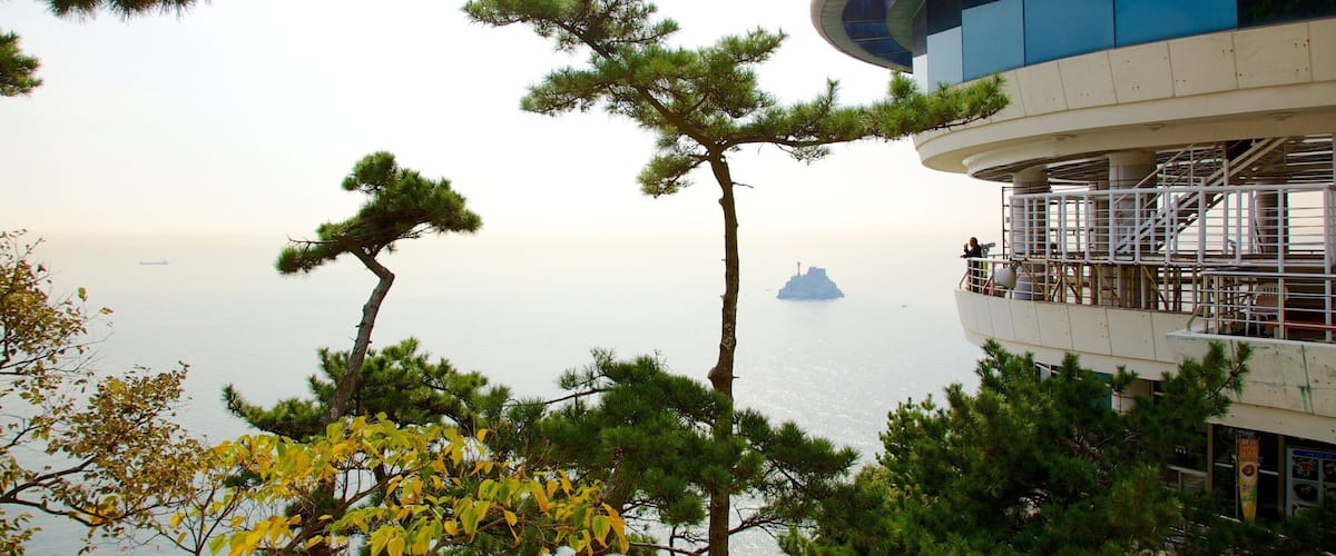 Taejongdae Park featuring views and general coastal views