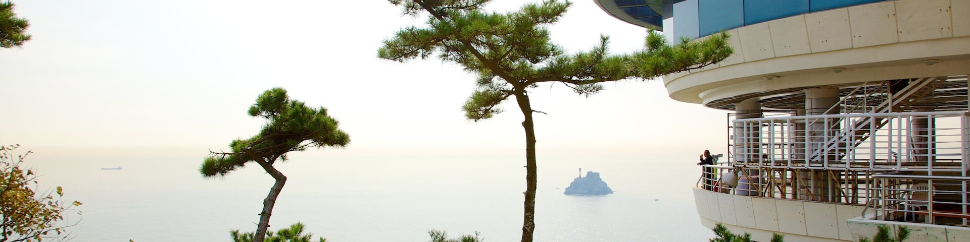 Parque Taejongdae mostrando vistas y vistas de una costa
