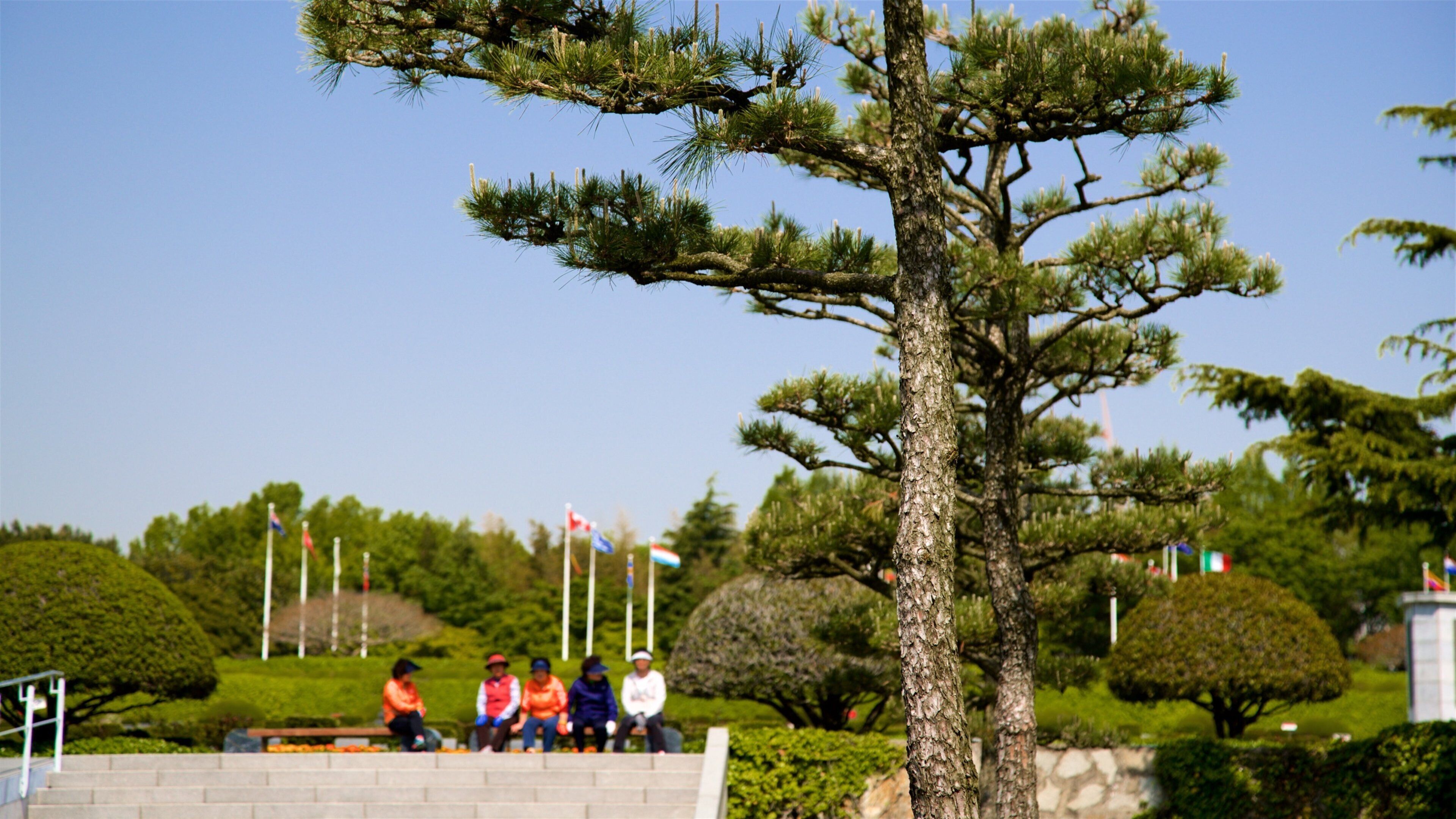 สุสาน UN แสดง สวน ตลอดจน คนกลุ่มเล็ก