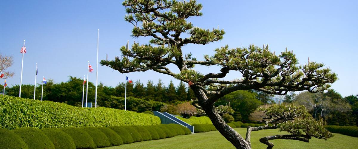 Cimetière commémoratif des Nations Unies mettant en vedette parc