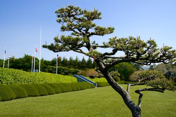 Cementerio de las Naciones Unidas que incluye un jardín
