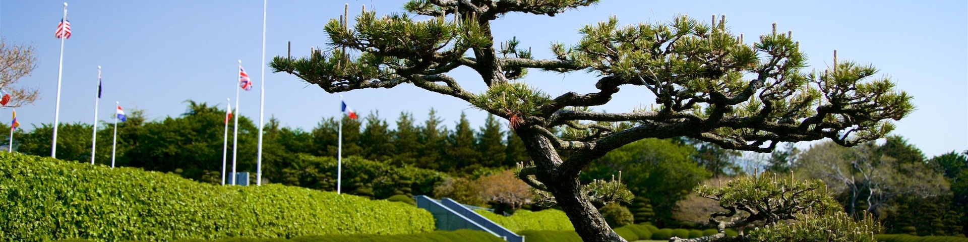 UN-Gedenkfriedhof das einen Garten