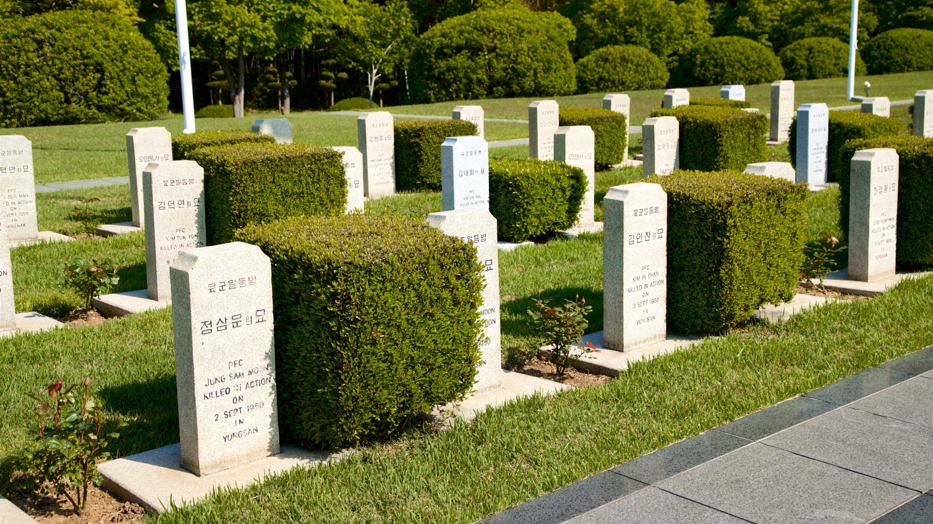 UN Memorial Cemetery showing a cemetery