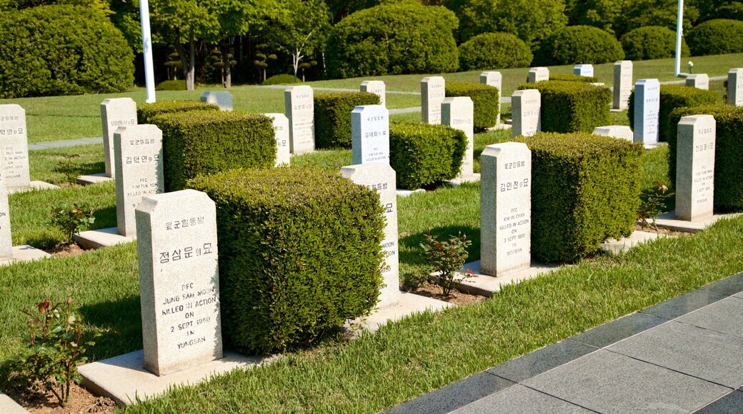 UN Memorial Cemetery showing a cemetery