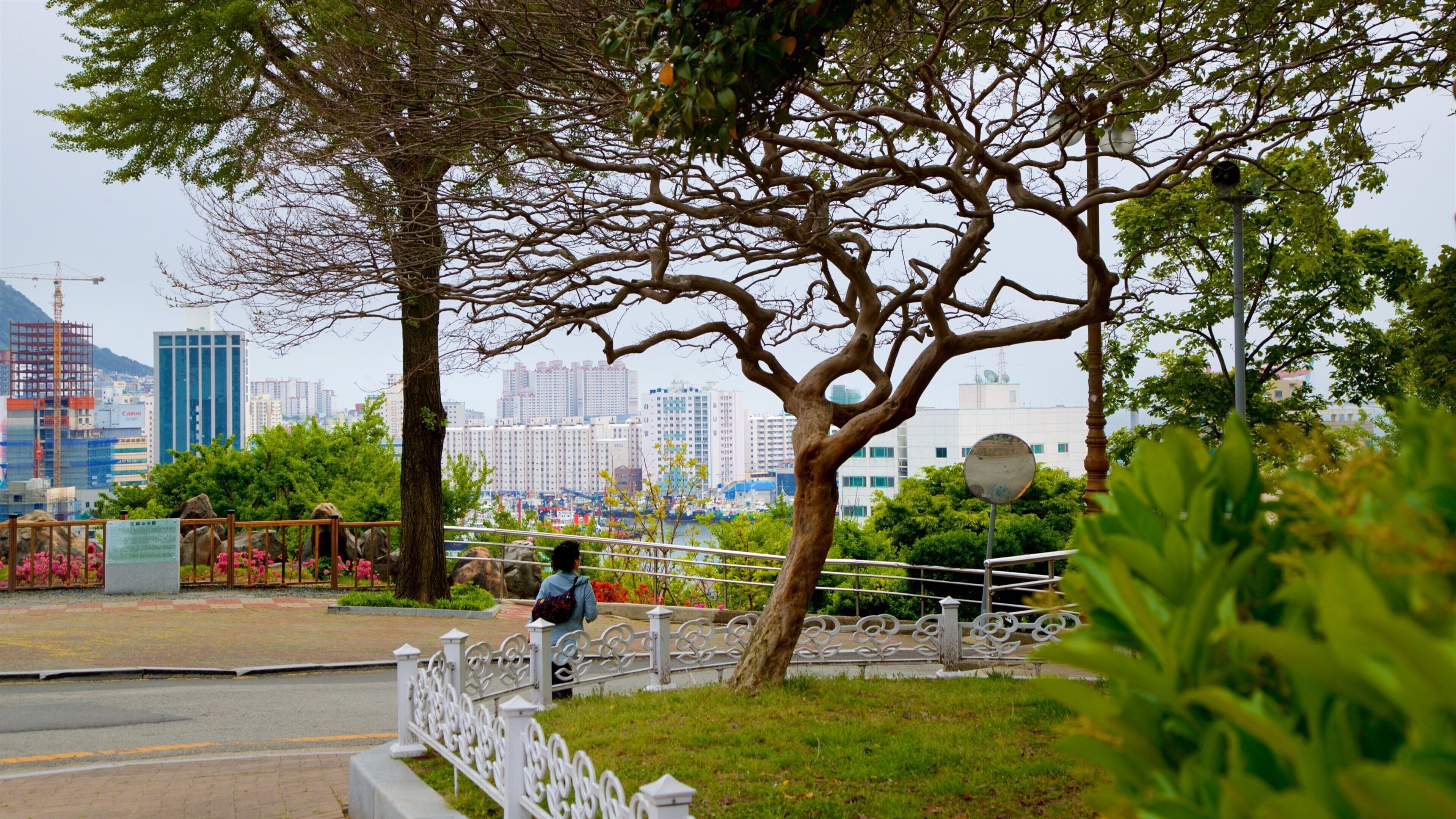 Yongdusan Park which includes a city and a garden