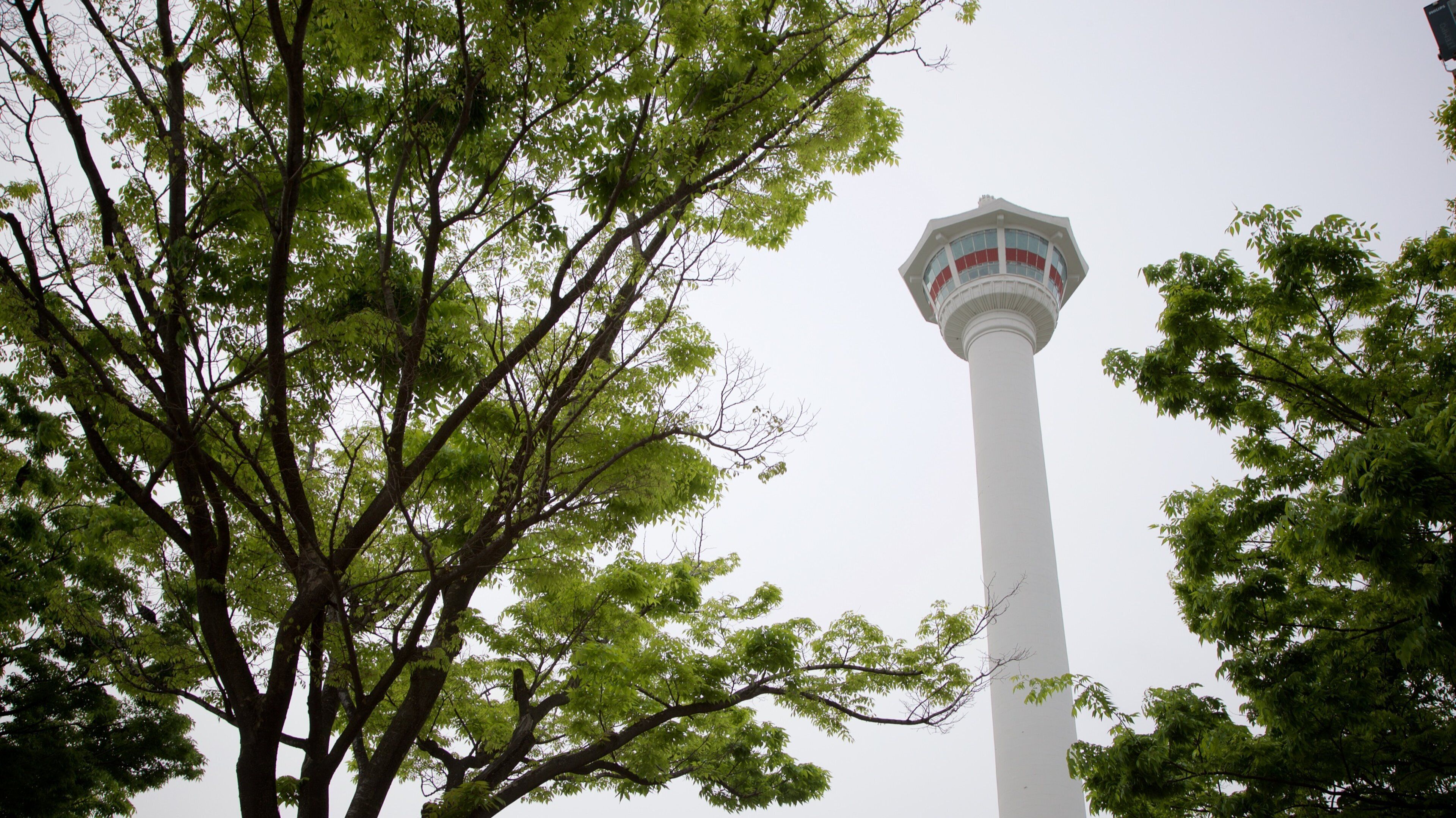 용두산공원 을 특징 전경