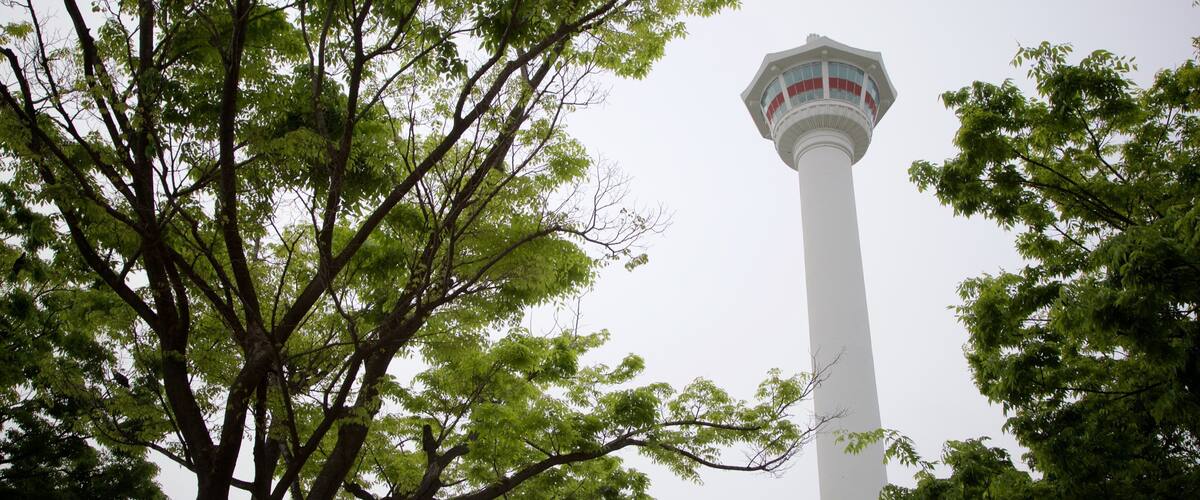 龍頭山公園 呈现出 景觀