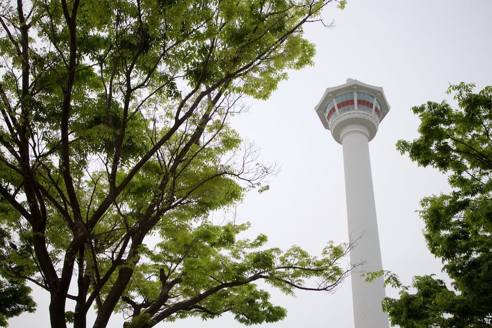 Una torre blanca con una plataforma de observación roja y blanca, rodeada de frondosos árboles verdes.