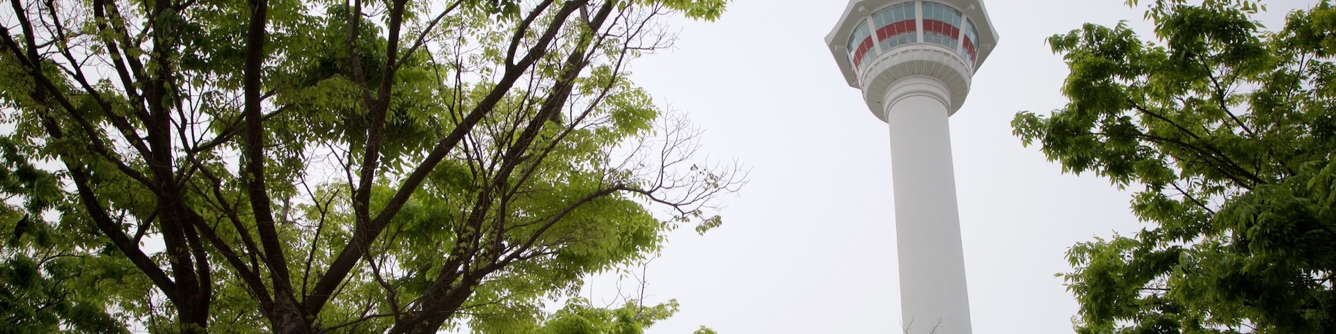 Yongdusan Park showing views