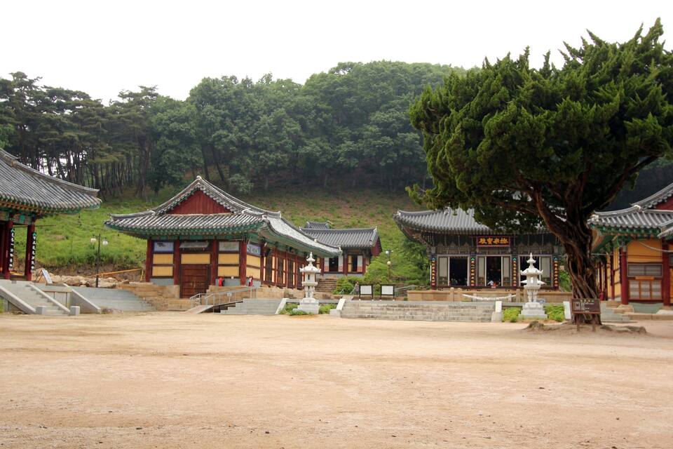 Arquitectura coreana tradicional con varios edificios, un árbol grande y un paisaje montañoso.